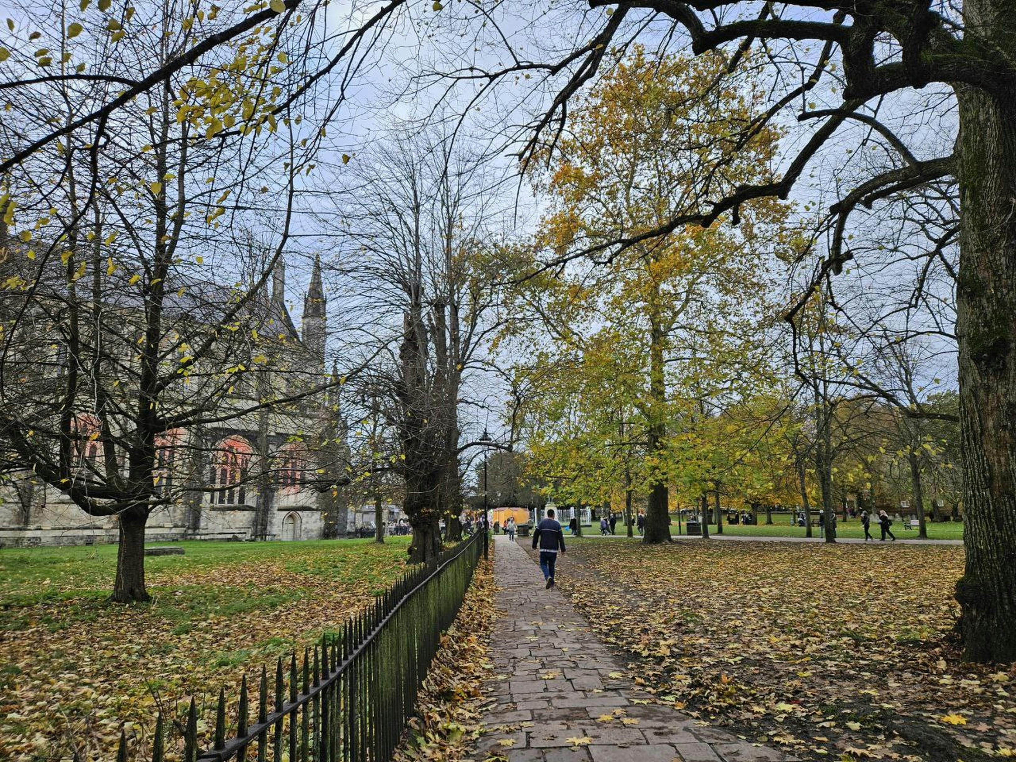 Hotel grounds for dog walks